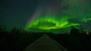 Aurora Borealis in Real Time Yellowknife, Northern Lights - 4K