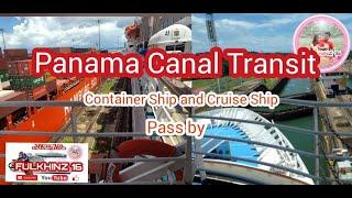 Container Ship and Cruise Ship at Panama Canal Transit