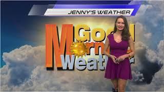 Jenny Milkowski Weather & Traffic Anchor Reel (2022)