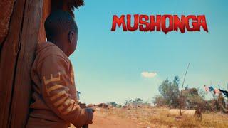 Holy Ten - Mushonga (Official Video)