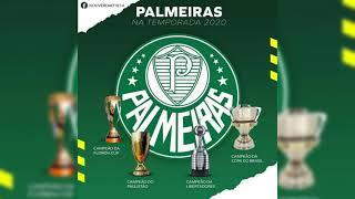 Palmeiras Tetracampeão da copa do Brasil ⭐⭐⭐⭐