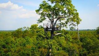 Angkor Wat Park Zipline Adventure from Siem Reap