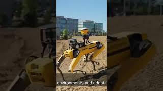 Autonomous Construction Equipments #autonomousvehicles #autonomousrobots