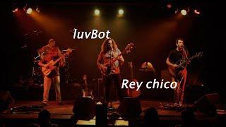 Haiku :: LuvBot live @ Rey Chico Granada (Spain)