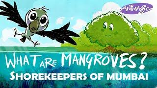 What are Mangroves?!! an animated introduction to the 'Shorekeepers of Mumbai'