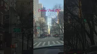 A view of Central Park and Fifth Ave in Manhattan, NYC. #icclifecoach #travel #newyork #centralpark