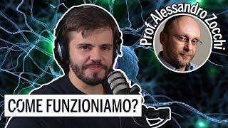 STUDIARE: cosa FUNZIONA secondo le NEUROSCIENZE, con il prof. @zocchialessandro