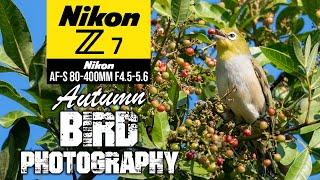 Autumn Bird Photography Using The Nikon Z7 + AF-S 80-400mm + FTZII