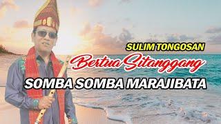 SOMBA SOMBA MARAJIBATA  BERTUA SITANGGANG SULIM TONGOSAN