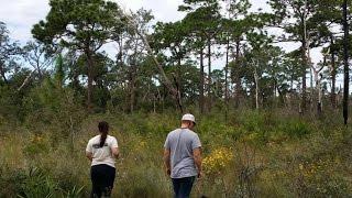 Introduction to Florida Native Plant Society