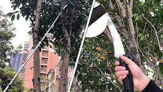 Trimming Trees Made Easy with a Manual Pole Saw