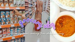 Grocery Vlog ~ asian grocery haul, monthly essentials, cooking thai chicken curry | aesthetic vlog