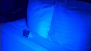 Worst Hotel in Las Vegas? Inspect OYO with a BLACK LIGHT. You won’t believe how gross!