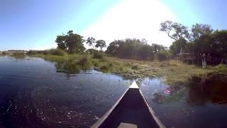 360 Video Botswana Wildlife Film trip  - Photos of Africa VR Safari