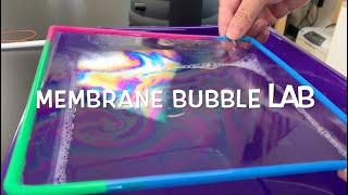 Cell Membrane Bubble Lab