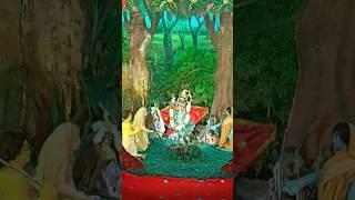 Radha Madhav dorshonradhe radhe #shorts #youtubeshorts #viralshort #harekrishna #jhulan