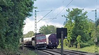Bahnübergang im Krugfeld Hildesheim Züge am Dienstag 7.5.2024 Güterzug mit Makro, Güterzug-Treffen