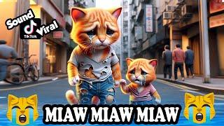 Miaw miaw miaw miaw Song sad story Father and Kitten FULL... #cat #aicat #catlover #cats