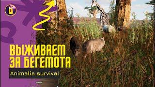 Animalia survival. Крокодилы бегемоты...