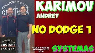 Systema Andreï Karimov (Андрей Каримов) Analyse vidéo - Stage - Paris - 02/12/2016 - SYSTEMAS