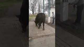 27 мая 2025 г.