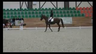 Комментарии судей. Maxima Stables. Соколова С.-Восторг-2011.