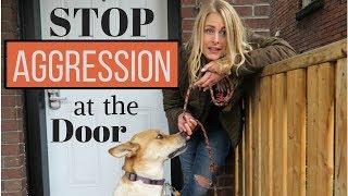 How to Enter the HOME of an 'AGGRESSIVE DOG'