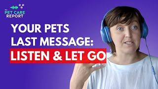 What Your Pet Wants You to Know Before They Go