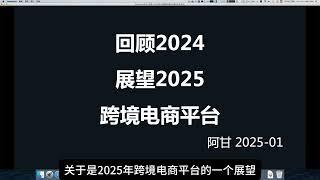 2025年主流跨境电商平台要怎么选-阿甘