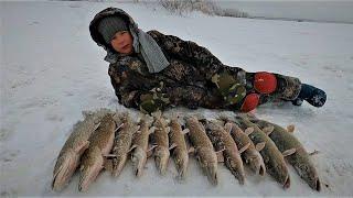 ЩУКА НА ЖЕРЛИЦЫ, ОСТАЛЬНЫЕ РЫБЫ ОТДЫХАЛИ)! НА РЫБАЛКЕ В МОРОЗНЫЙ И КЛЁВЫЙ ЗИМНИЙ ДЕНЬ!