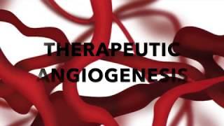 USE ANGIOGENESIS TO HEAL YOUR BODY #25 | https://drstephenstokes.com