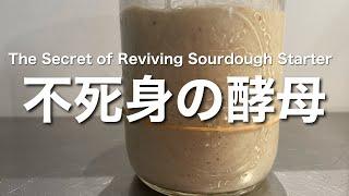 SUB) 弱った自家製天然酵母元種を活発に甦らせる方法　How To Strengthen A Weak Sourdough Starter / Make More Active Starter