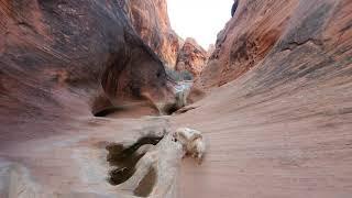 Red Reef Trail - Hiking Compilation - Red Cliffs National Conservation Area - Hurricane / Leeds, UT