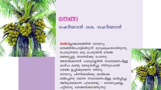 PLUS TWO MALAYALAM  / തേങ്ങ / Thenga malayalam Summary / PLUS LEARN