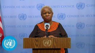 The Democratic Republic of the Congo (DRC) situation: MONUSCO Head's Stakeout | United Nations