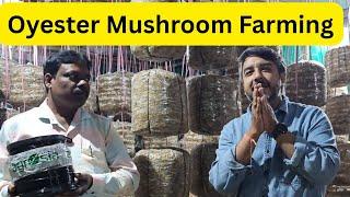 Oyester Mushroom Farming | Oyster Mushroom Cultivation | How to Grow Oyster Mushrooms