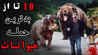 با  10 تا از خطرناک ترین حمله حیوانات به انسان در مستند سیگنال