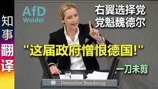 德国选择党AfD党魁魏德尔联邦议院上慷慨陈词: "这届政府憎恨德国!" | 一刀未剪 AfD Dr. Weidel about this government