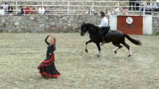 GABRIELA FERRER Y JOAQUÍN NIETO, FLAMENCO CON CABALLOS SEVILLANAS