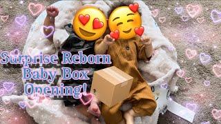 Surprise Double Reborn Baby Box Opening! | Mya Reborns