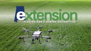 Alabama Extension: A Trusted Partner