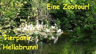Eine Zootour durch den ERSTEN GEOZOO DER WELT! Tierpark Hellabrunn in München!