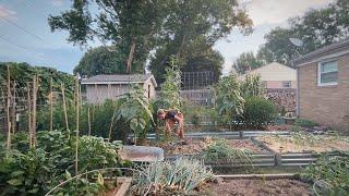 From Dawn To Dusk - A Day In The Life Of A Backyard Homesteader