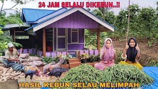 24 JAM SELALU DIKEBUN..!! HASIL KEBUN SELALU MELIMPAH