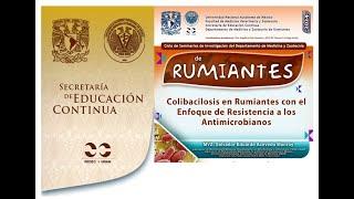 Colibacilosis en Rumiantes con el Enfoque de Resistencia a los Antimicrobianos