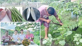 Update sa tanim na gulay + inihaw na tulingan