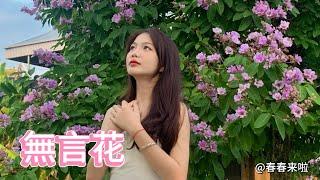 【台语歌】無言花 - 江蕙 cover by 越南春春