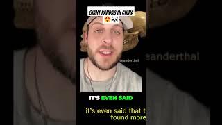 GIANT PANDA'S IN CHINA ?!? #viral #conspiracy #panda #rumors #dinasaurs #china