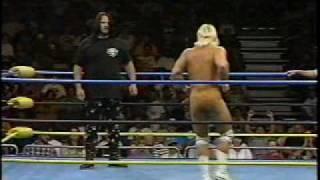 Bart Sawyer v Maxx Payne