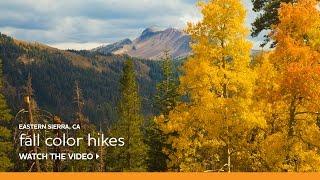 Fall Hiking Trail Suggestions: Beginner to Expert